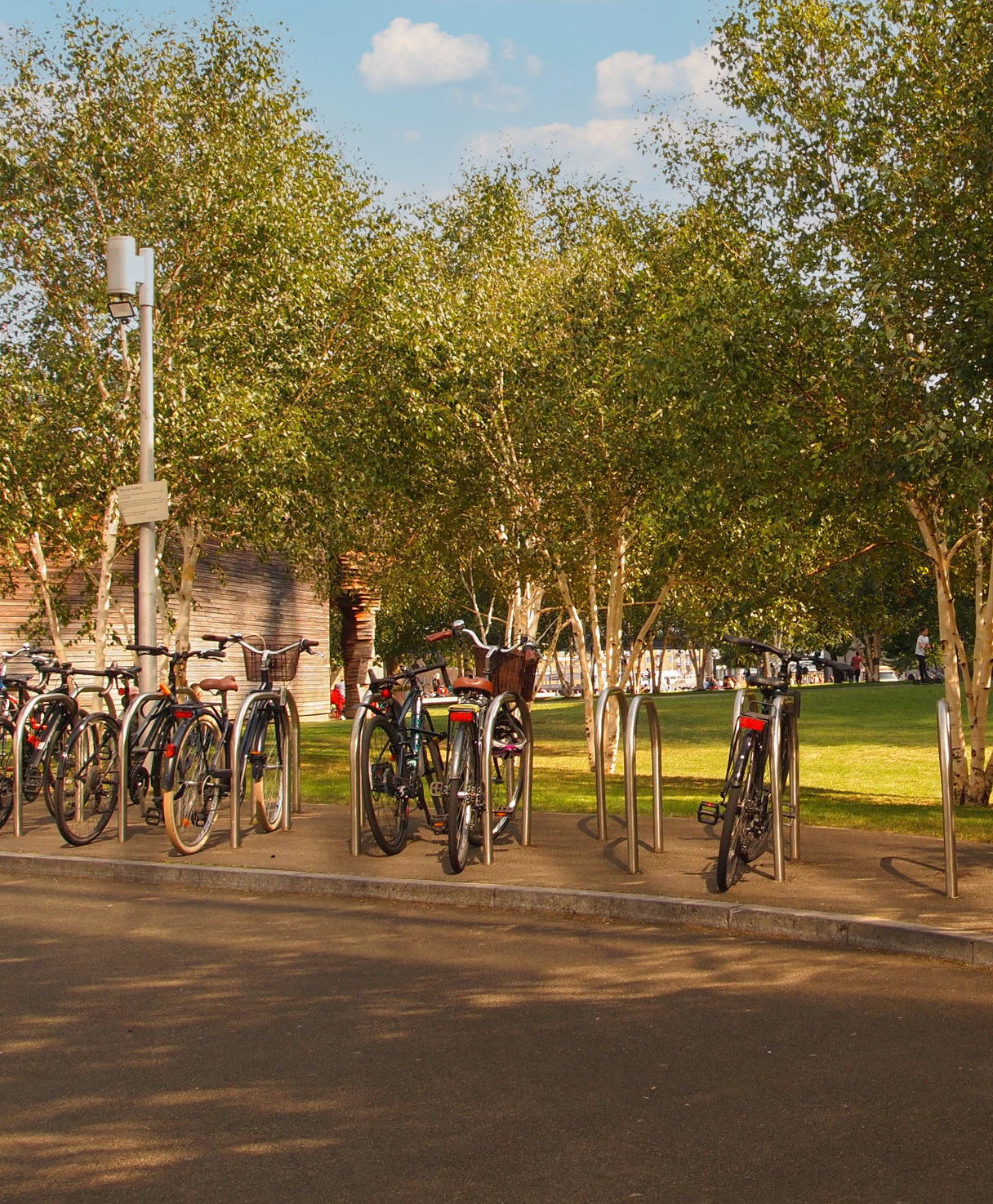 sustainable gift guide tree planting 01