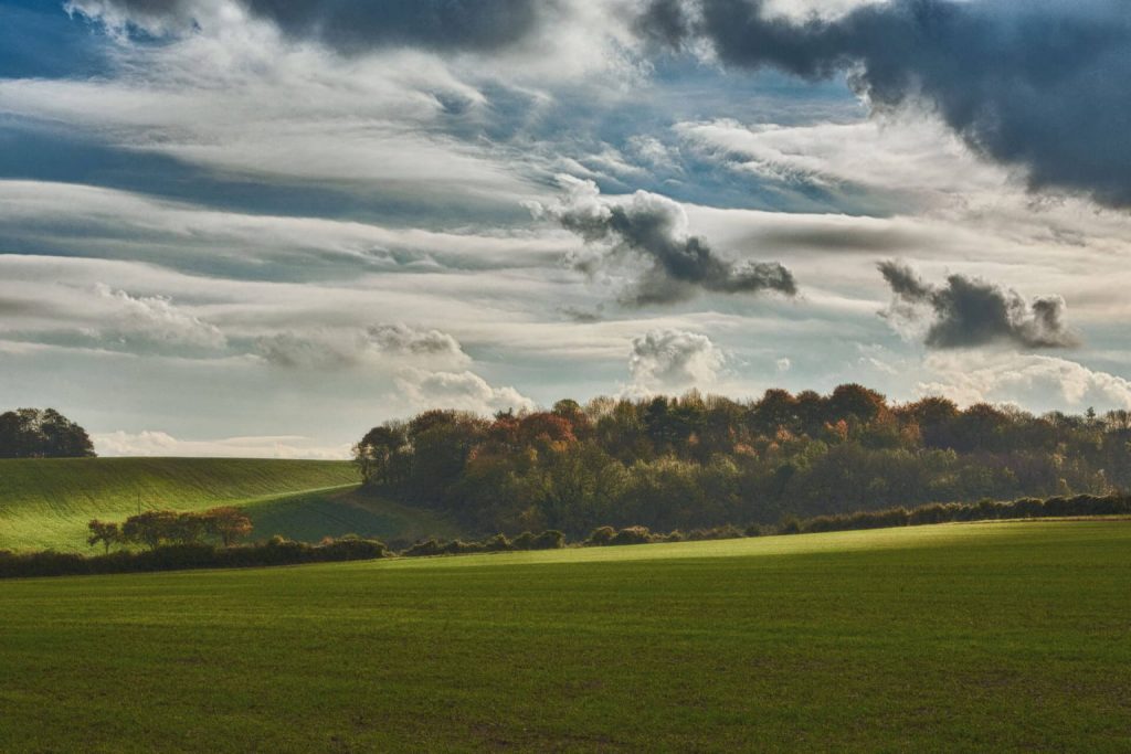 twoshoescreative hertfordshire bg 01 1536x1024 1